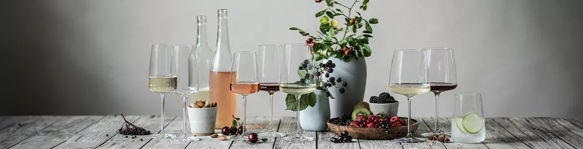 Zwiesel Glas Vivid Senses