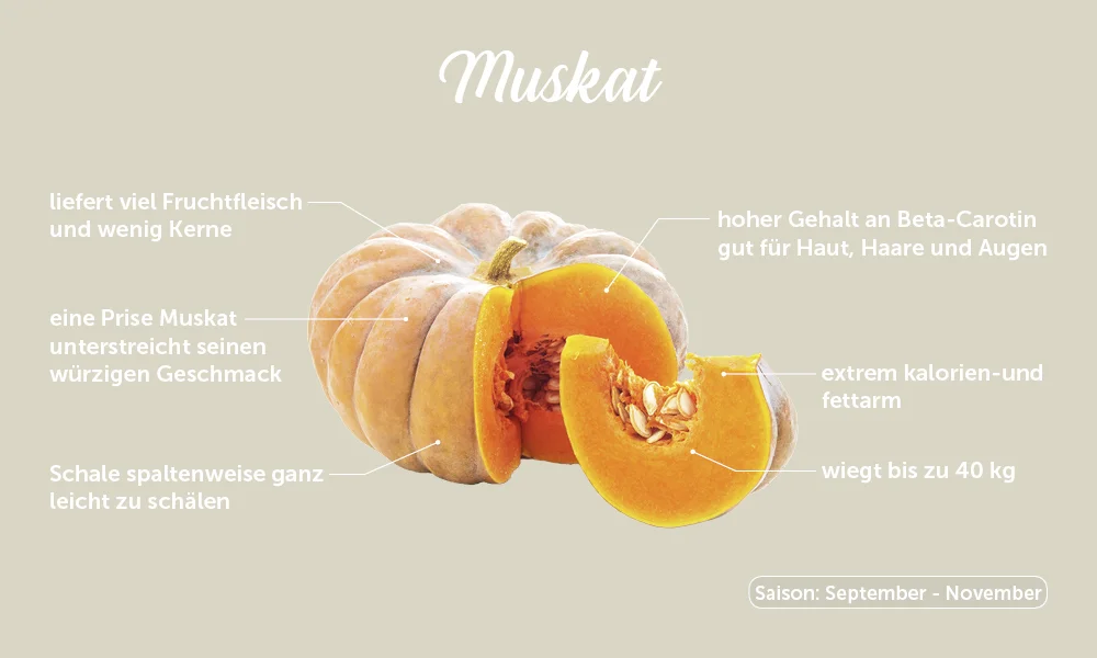 Speisekürbisse