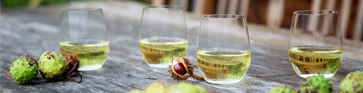 Riedel O Wine Tumbler