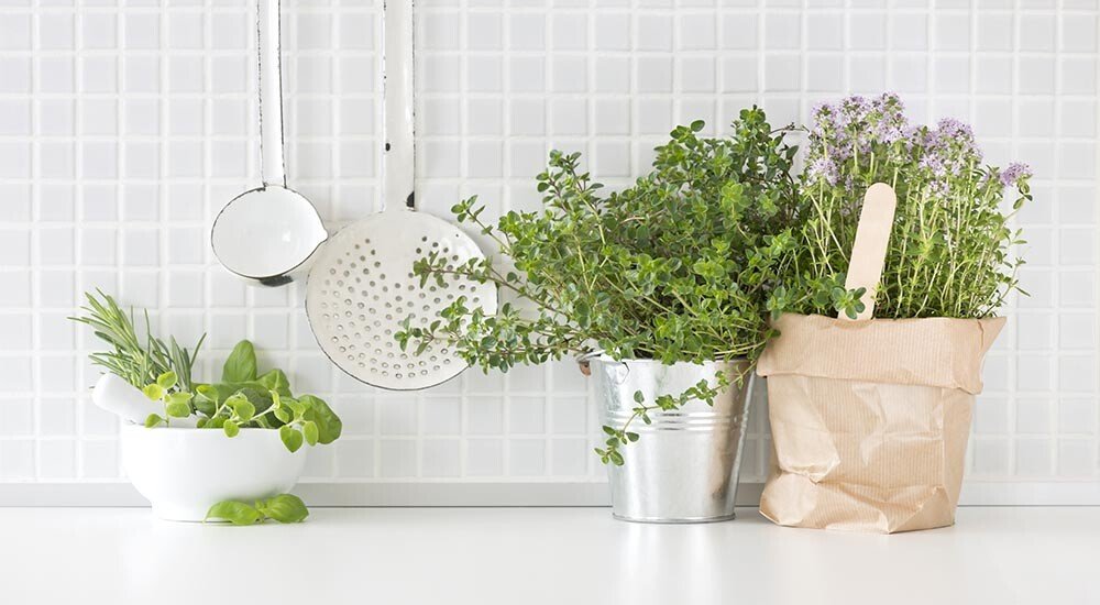 Zubehör Küchenkräuter