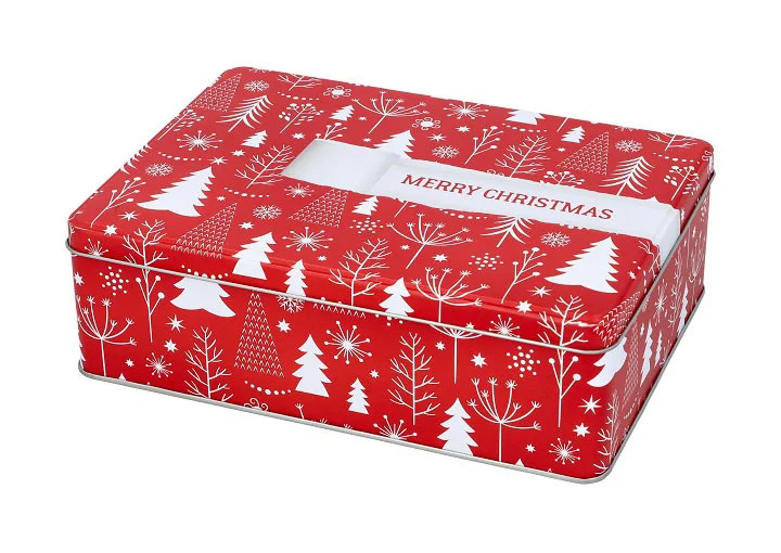 Gebäckdose XL 22x16x7 cm Gift Wrap