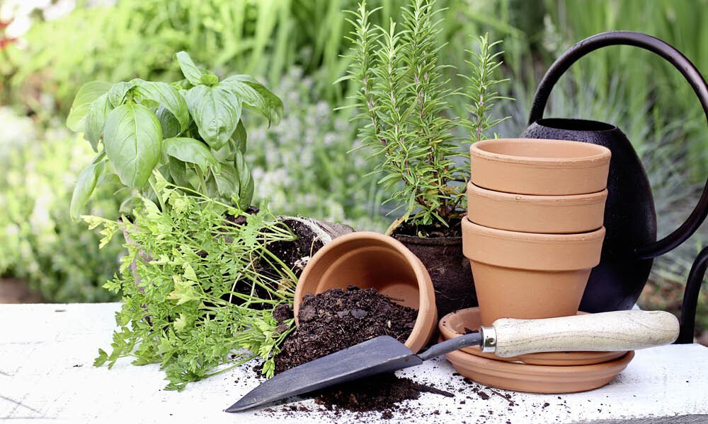 Magazin Kräutergarten