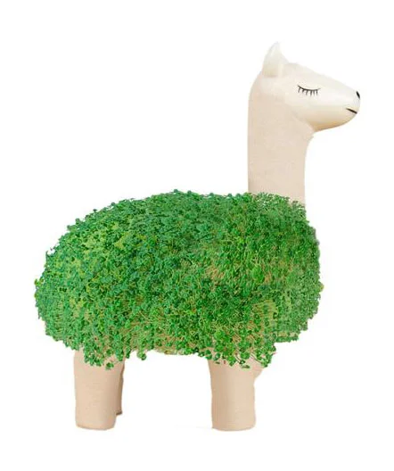 Green Lama 18 cm Chia