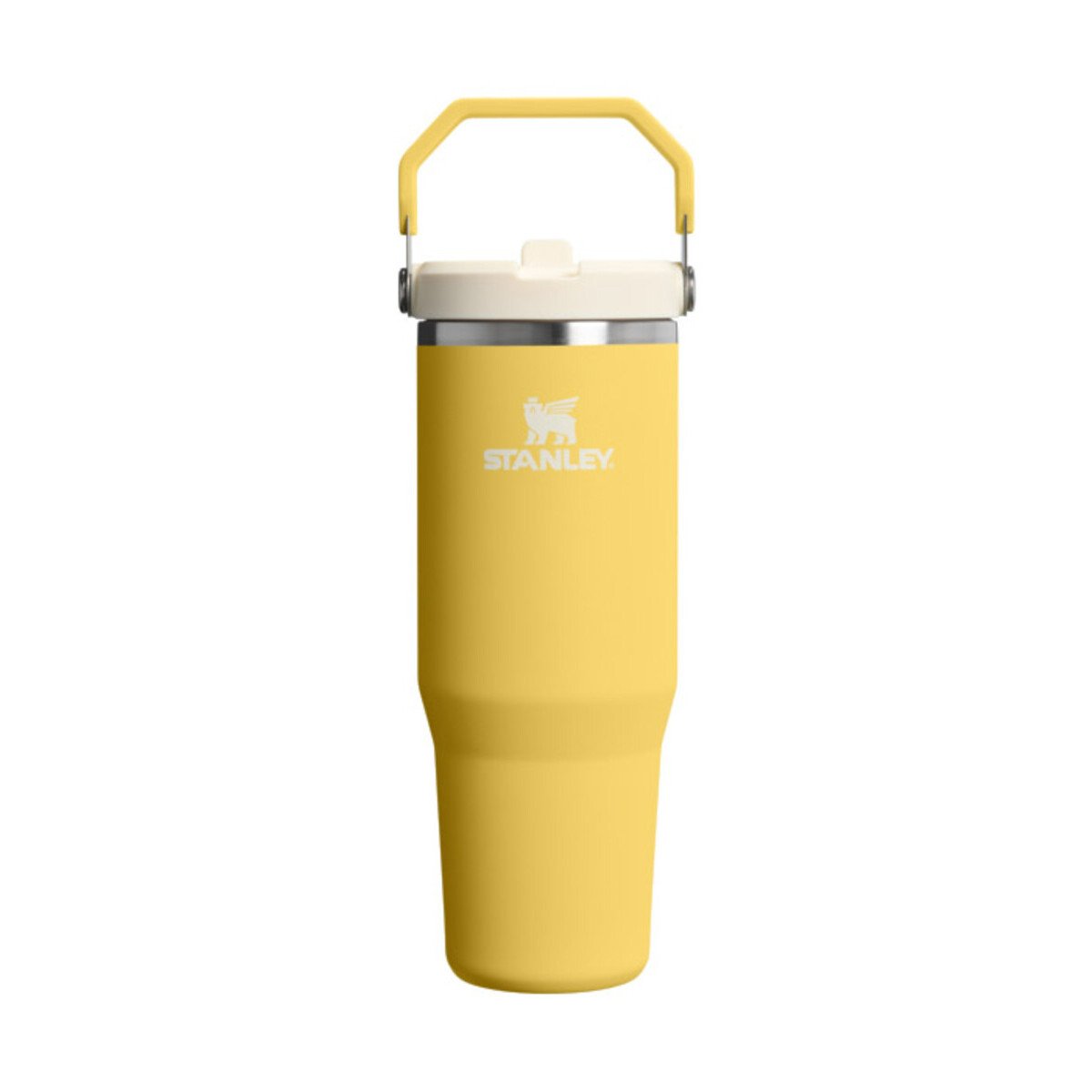 31637496.jpg