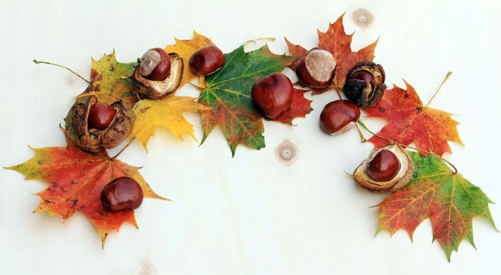Herbstdekoration