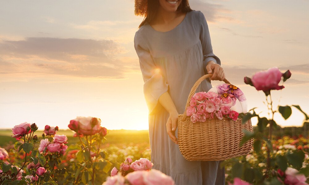 tischwelt Villeroy &amp; Boch Blumenwiese Rose Garden 