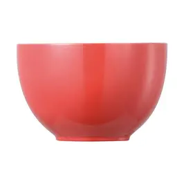 Müslischale 12 cm Sunny Day New Red Thomas