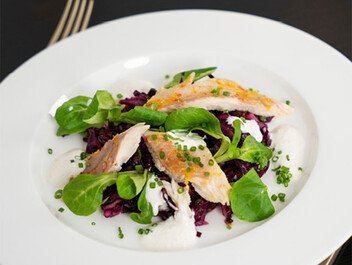 Räucherforellenfilet auf Rotkrautsalat