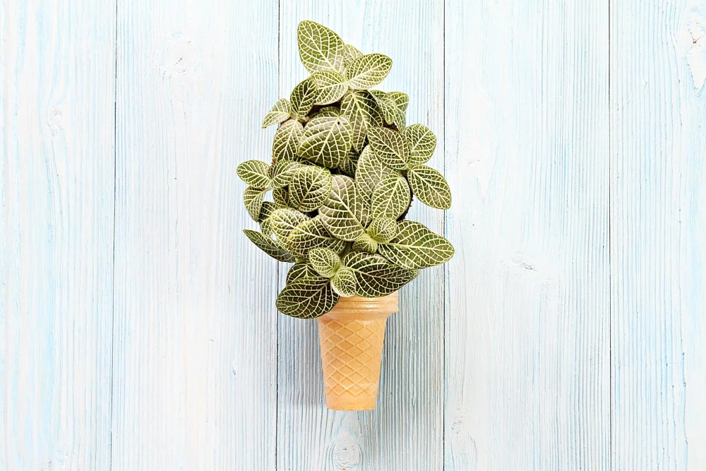 eis selber machen