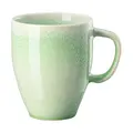 Henkelbecher 0,38 l Junto Jungle Rosenthal