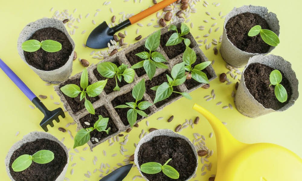 Magazin Kräutergarten