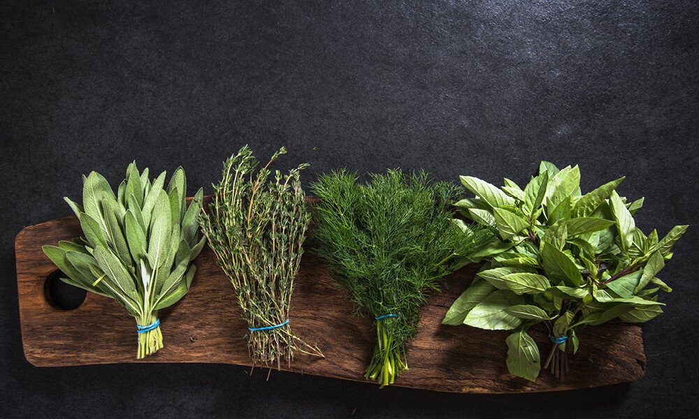 Kräuter zerkleinern und aufbewahren