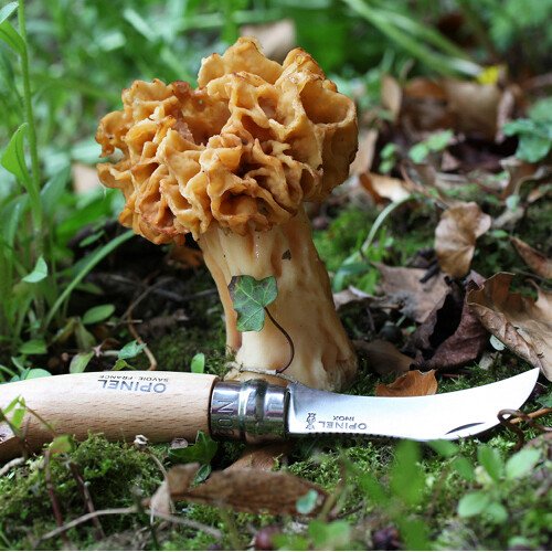 Unsere 7 Lieblingsprodukte für den Herbst
