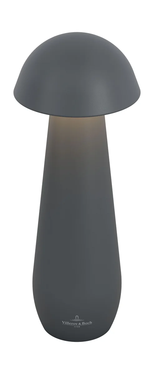 Tischleuchte 21 cm 1,5 W Modena anthrazit
