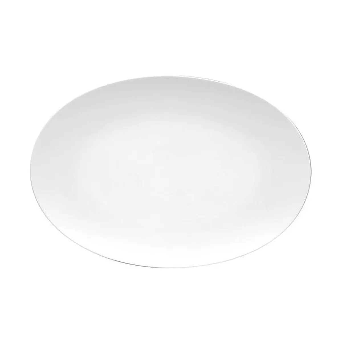 81002750.jpg
