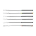 Fleischfonduegabeln 6er-Set Fun silber Spring