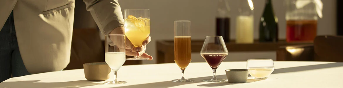 Zwiesel Glas Début
