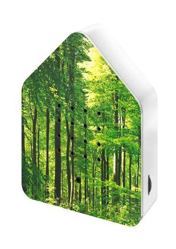 Zwitscherbox Limited Edition Wald