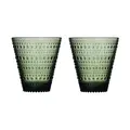 Glas 2er-Set Kastehelmi tannengrün Iittala