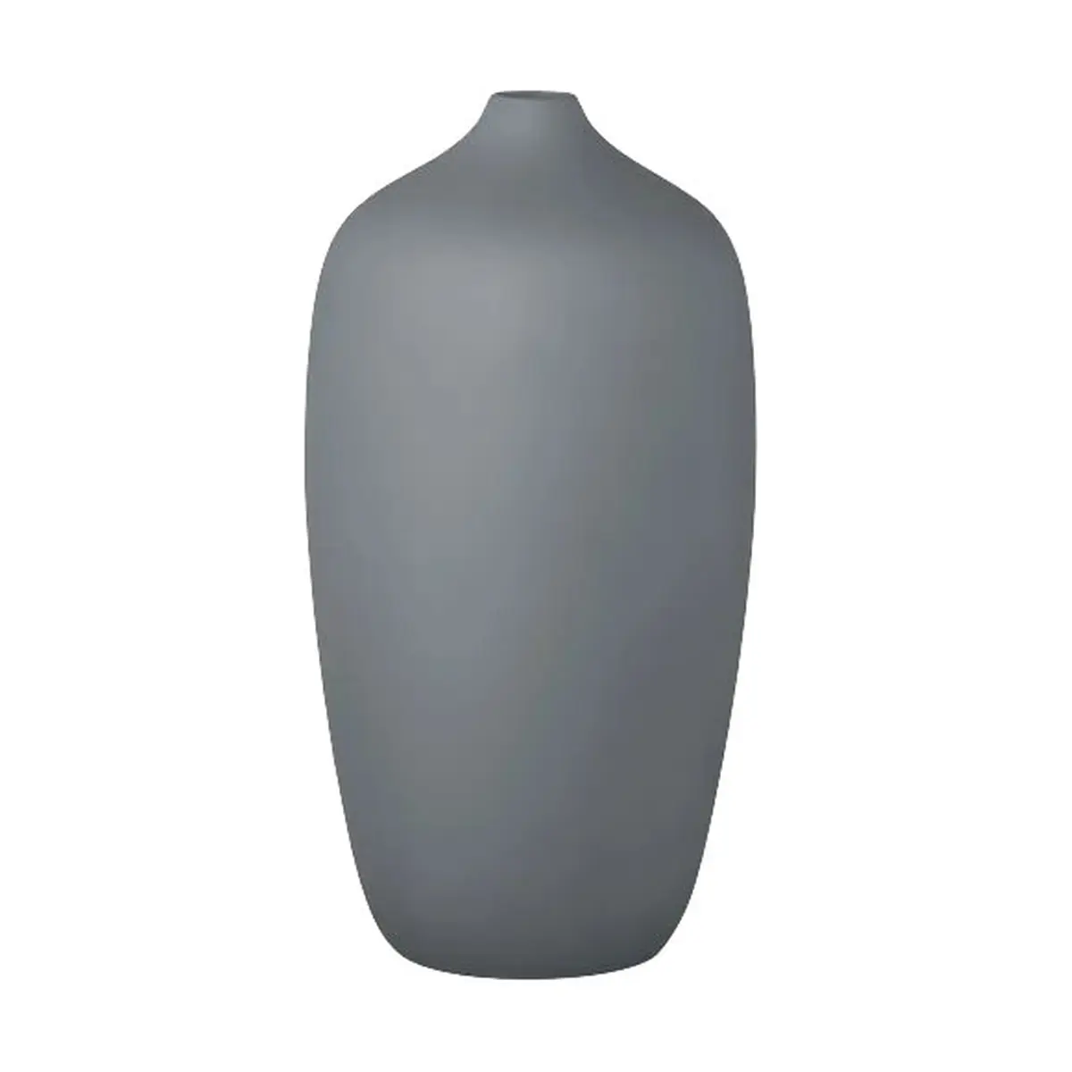 31620855.jpg