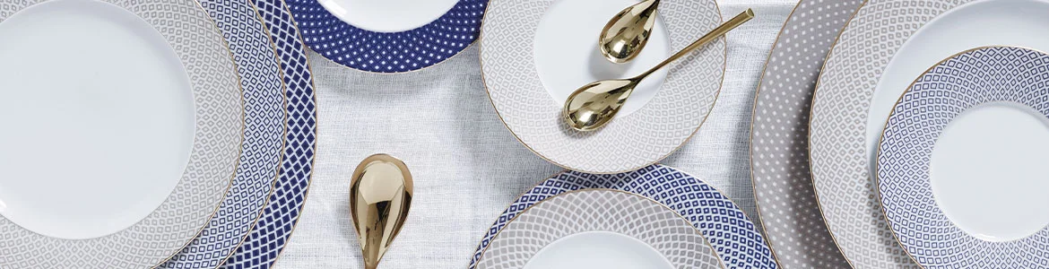 Rosenthal Francis Carreau Bleu