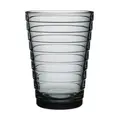 Glas 2er-Set 0,33 l Aino Aalto Grau Iittala