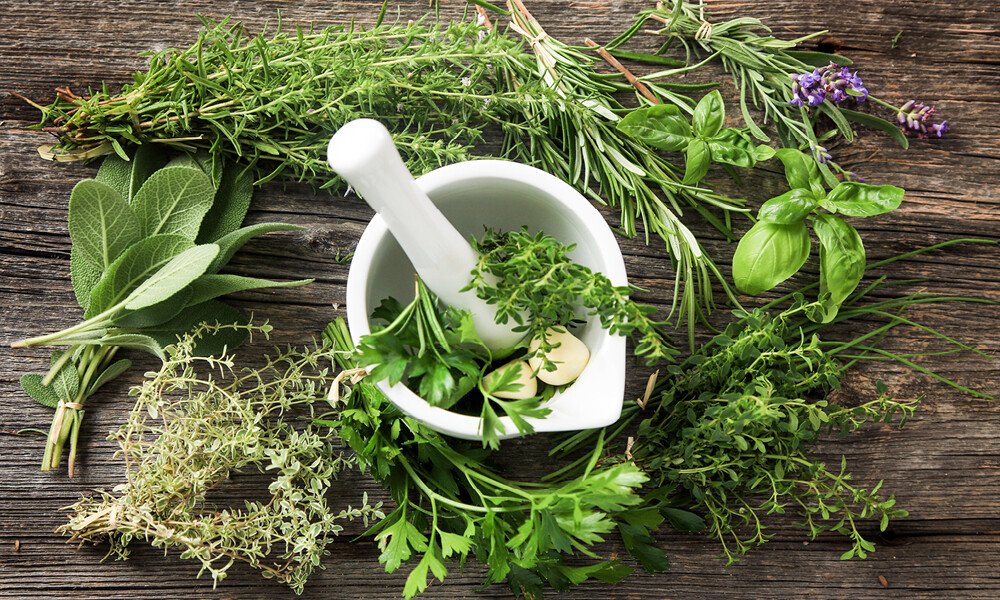 Kräuter zerkleinern und aufbewahren