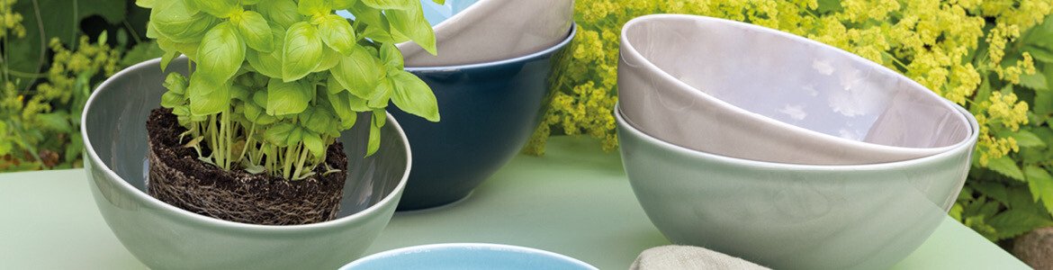 Thomas Daily Moss Green
