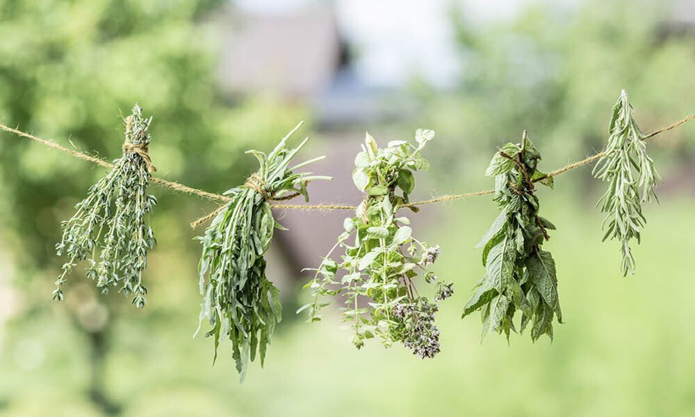 Magazin Kräutergarten