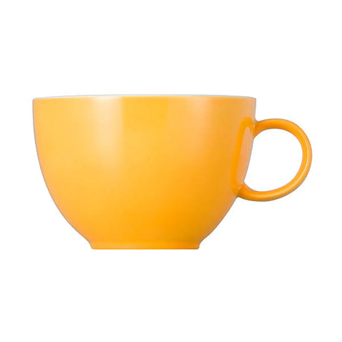 87607171.jpg