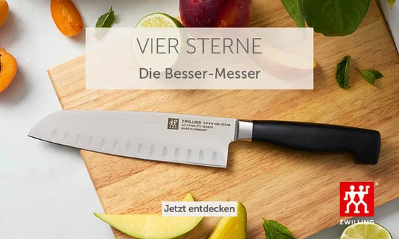 Zwilling Vier Sterne