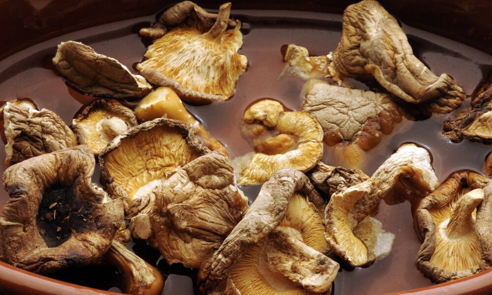 magazin-pilze-verarbeiten id99711