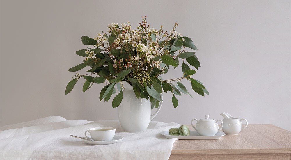 arzberg-form-1382-weiss-kaffee-tee-serivice-porzellan