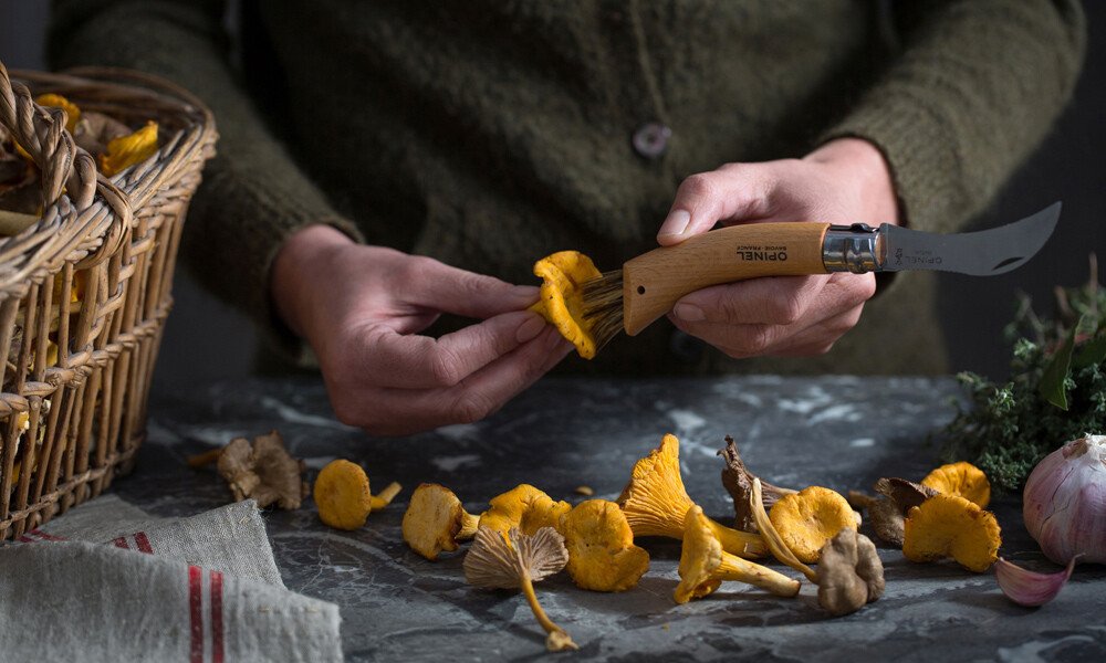 magazin-pilze-verarbeiten id99710