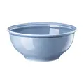Müslischale 16 cm Trend Colour Arctic Blue Thomas