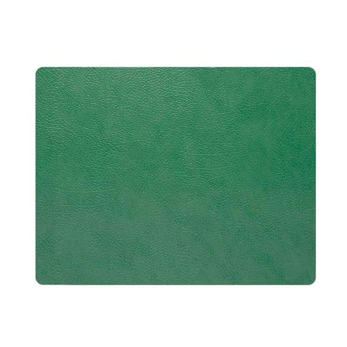81024114.jpg