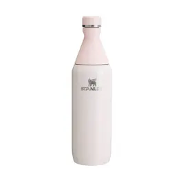 All Day Slim Bottle 0,59 l Rose Quartz Stanley