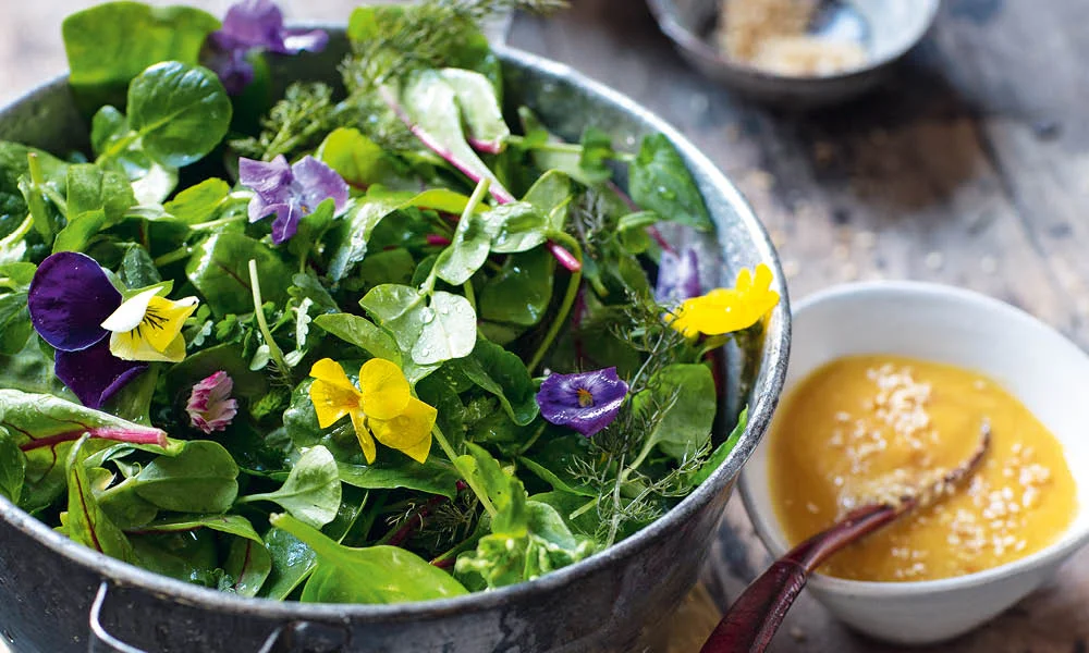 WILDKRÄUTERSALAT MIT MÖHREN-SESAM-DRESSING