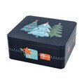 Gebäckdose XL 21x19x9 cm Christmas Night RBV Birkmann