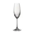 Champagnerglas 0,22 l DiVino Glatt klar Rosenthal