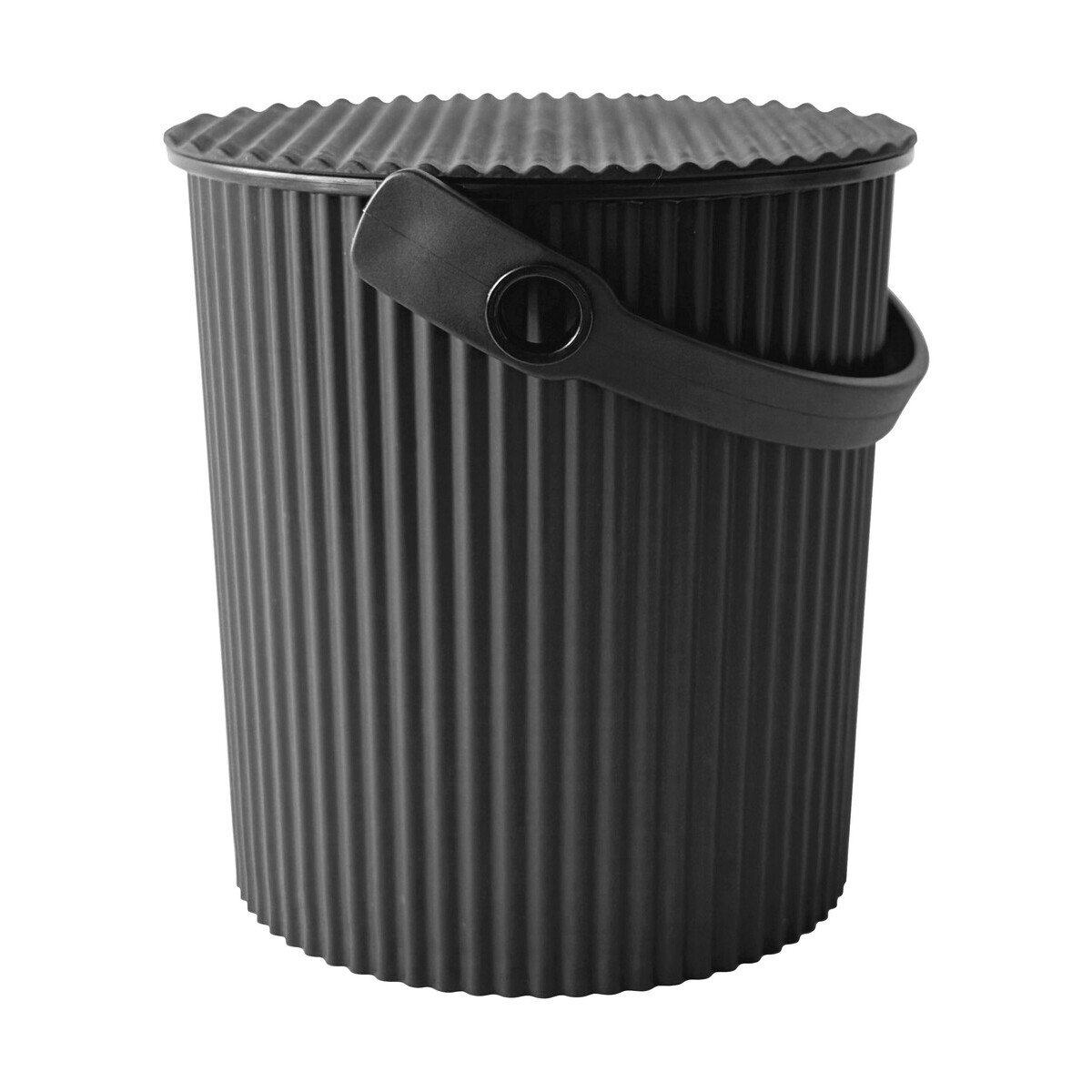 31623010.jpg