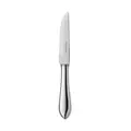 Steakmesser Eclipse 150 g versilbert Robbe & Berking