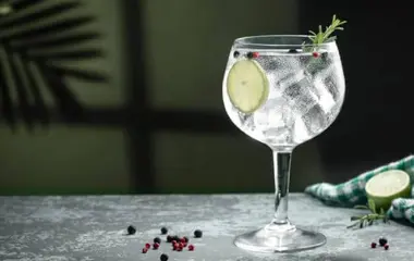 Gin Gläser