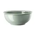 Schüssel 22 cm Trend Colour Moss Green Thomas