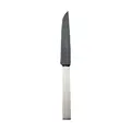 Steakmesser Frozen Black Riva 925 Sterlingsilber Robbe & Berking