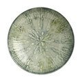 Suppenteller 22 cm Fusion Grey Rosenthal
