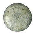 Suppenteller 22 cm Fusion Grey Rosenthal