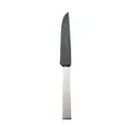 Steakmesser Frozen Black Riva 150 g versilbert Robbe & Berking