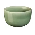 Schale 9 cm Saisons Agave ASA