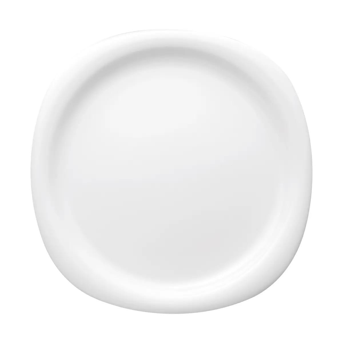 82013909.jpg